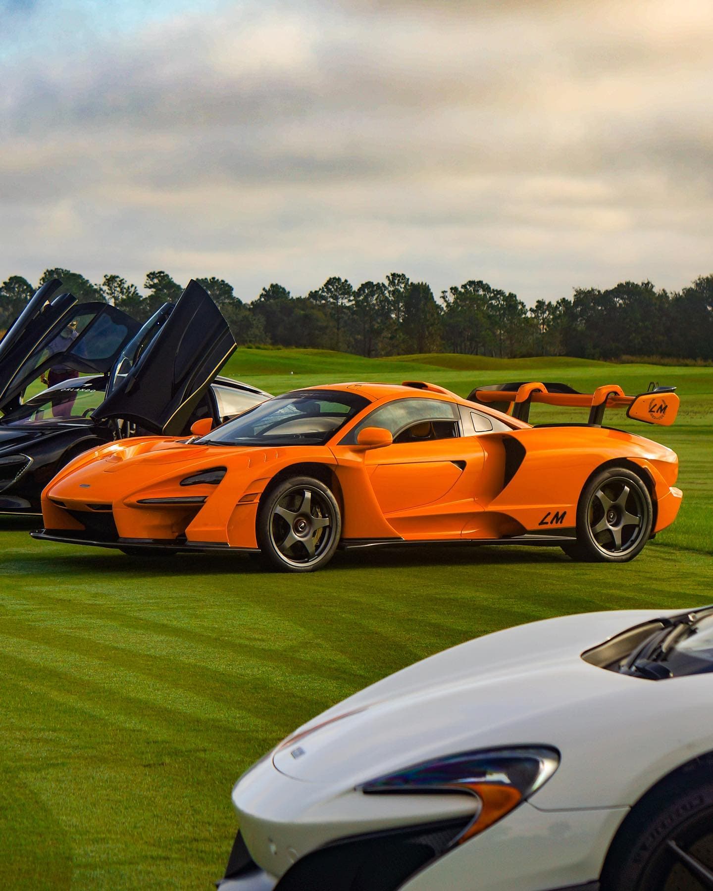 Windermere Concours