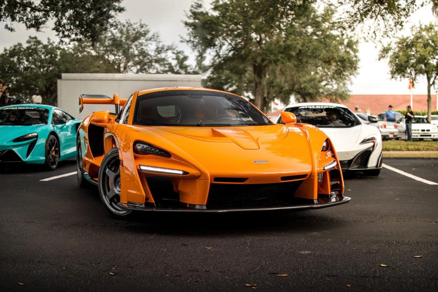 Windermere Concours